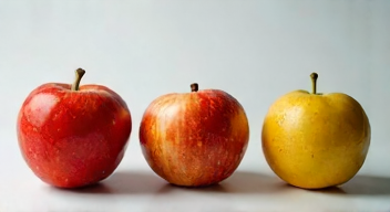 Perspektiven zu Lebensmittelbetrug