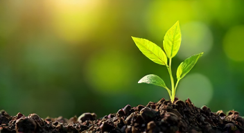 Mein Weg zur Profitabilität: Ein persönlicher Rückblick (1/10)