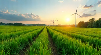 Ökonomische Perspektiven der Ressourcennutzung