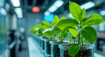 Perspektiven zu Biotechnologie und Kreislaufwirtschaft