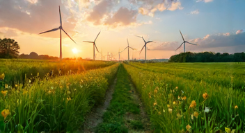 Psychologische Aspekte der Energiewende (7/10)